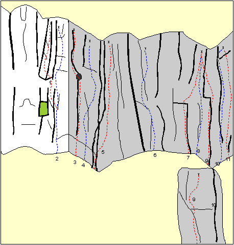 Orchid Wall topo