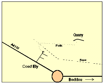 Coed Ely map 2