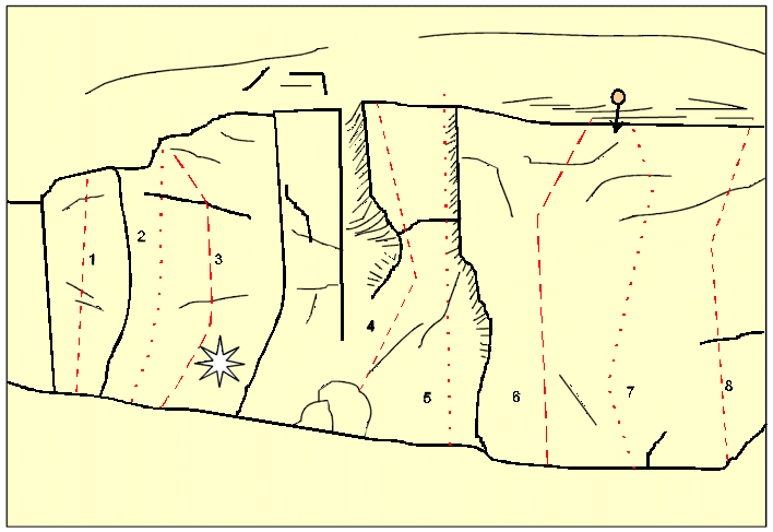 Coed Ely topo